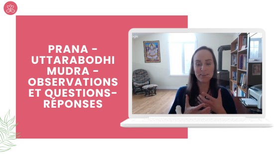 3.8 Prana - Uttarabodhi Mudra - observations et questions-réponses (8 minutes)